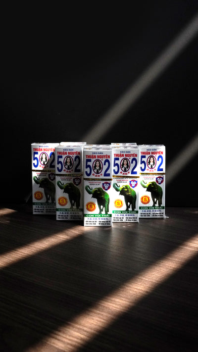 Thành lập công ty và chính thức phân phối